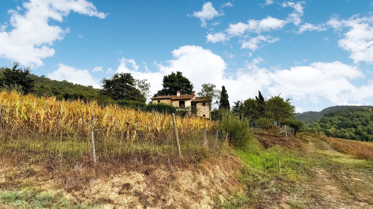 Photo of Outdoor in Radicofani