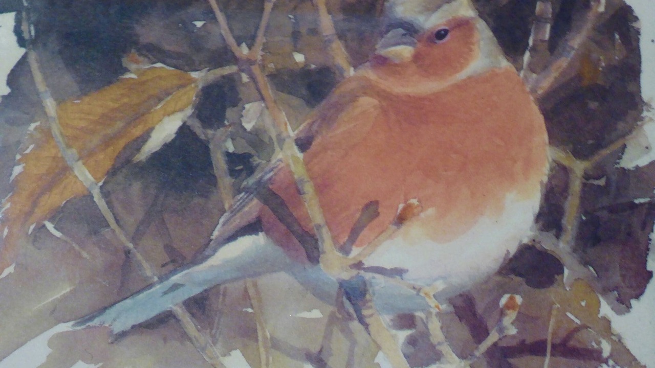 Photo of Others in Montecarelli