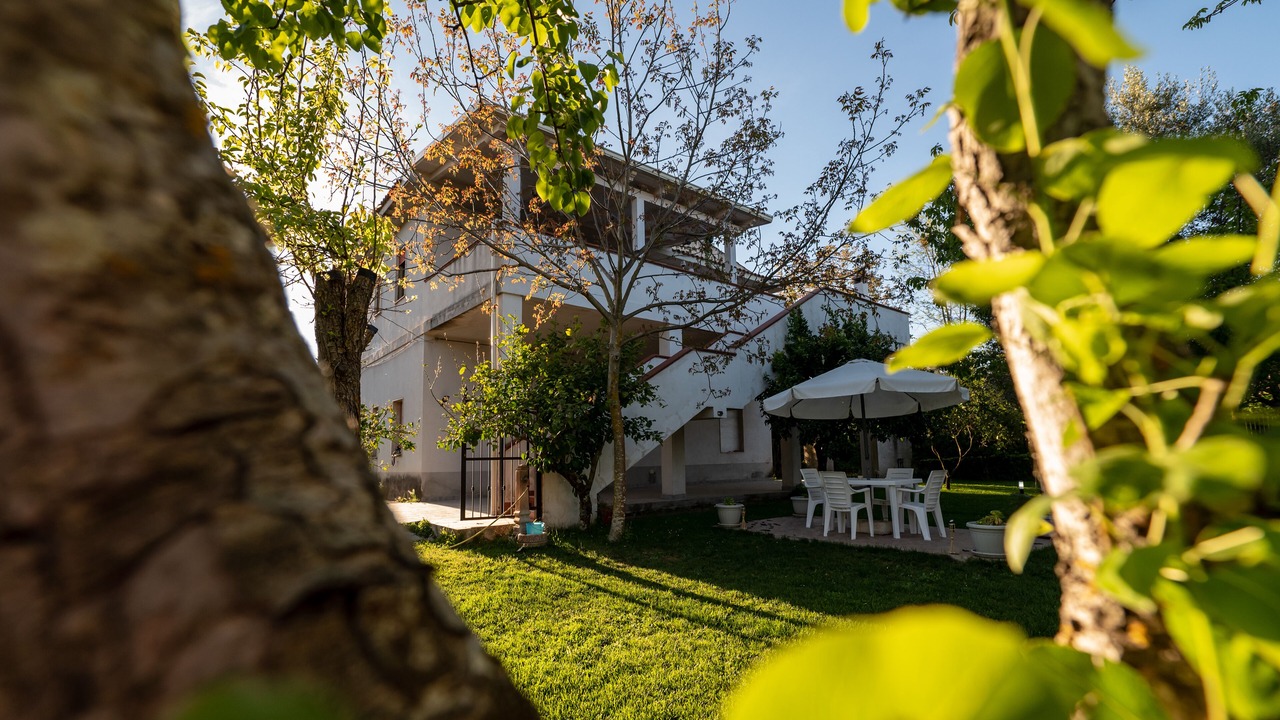 Photo of Outdoor in Jonadi