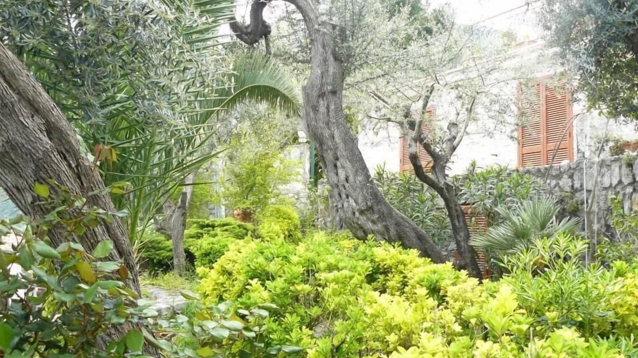 Photo of Outdoor in Sirenuse