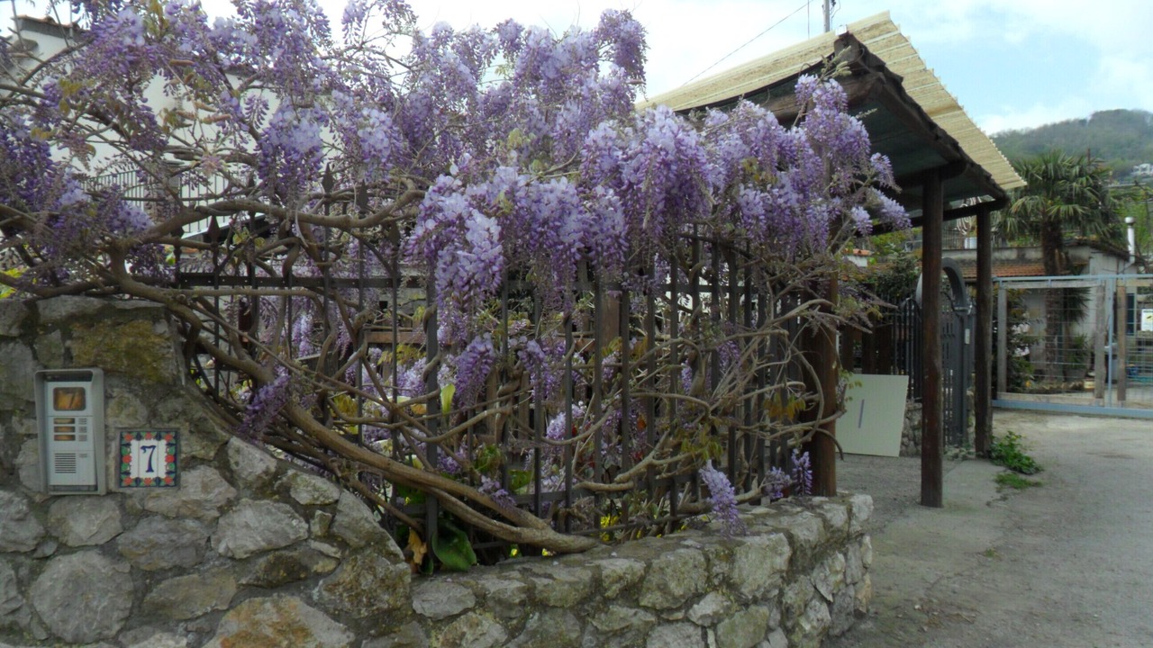 Photo of Others in Colli di Fontanelle