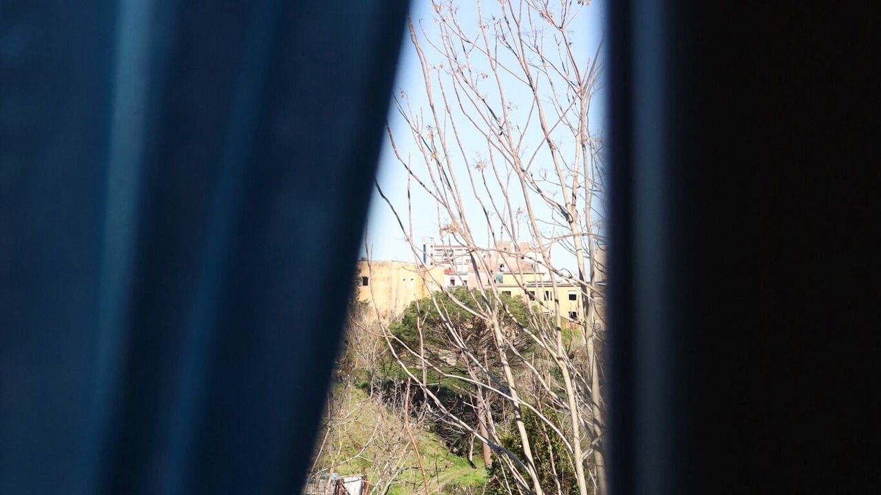 Photo of Others in Naples