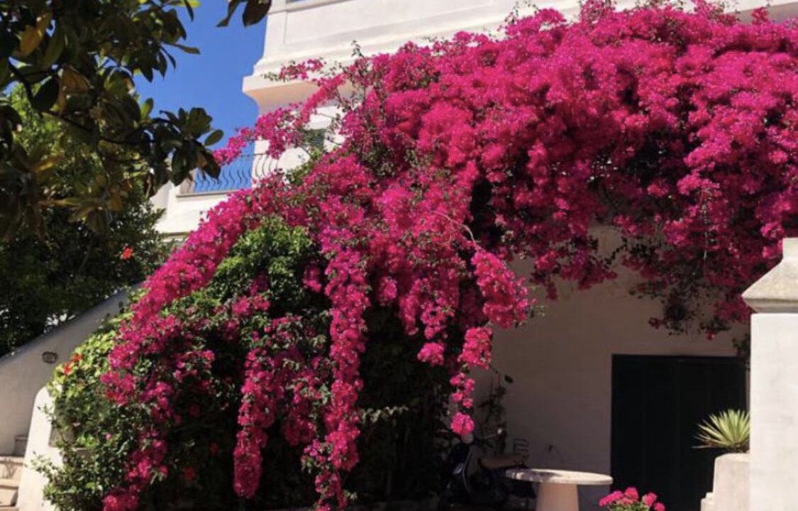 Photo of Outdoor in Ischia Porto