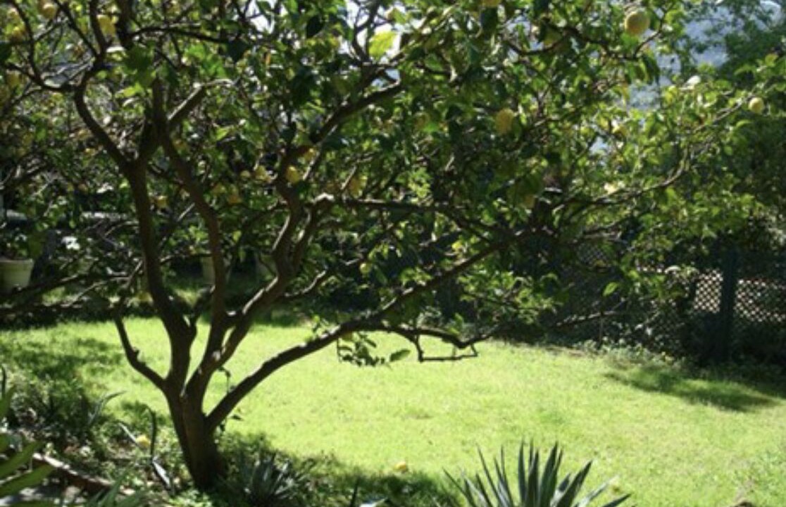 Photo of Outdoor in Ischia Porto