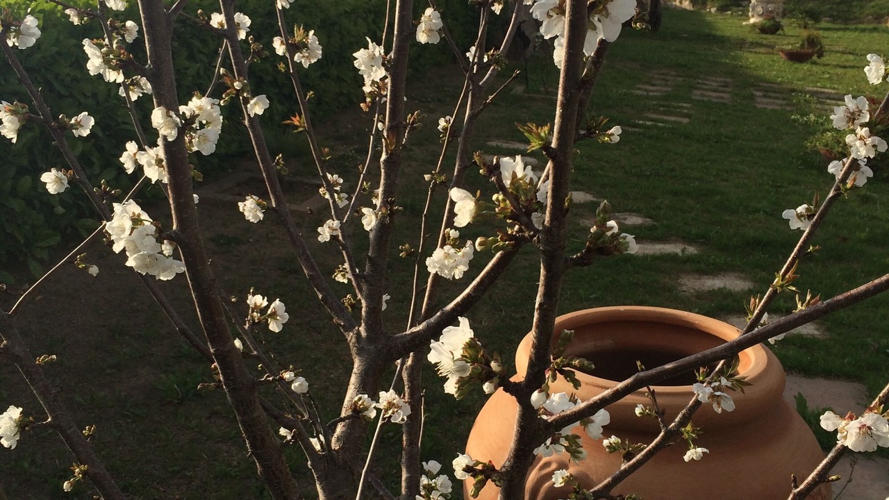 Photo of Outdoor in Drapia