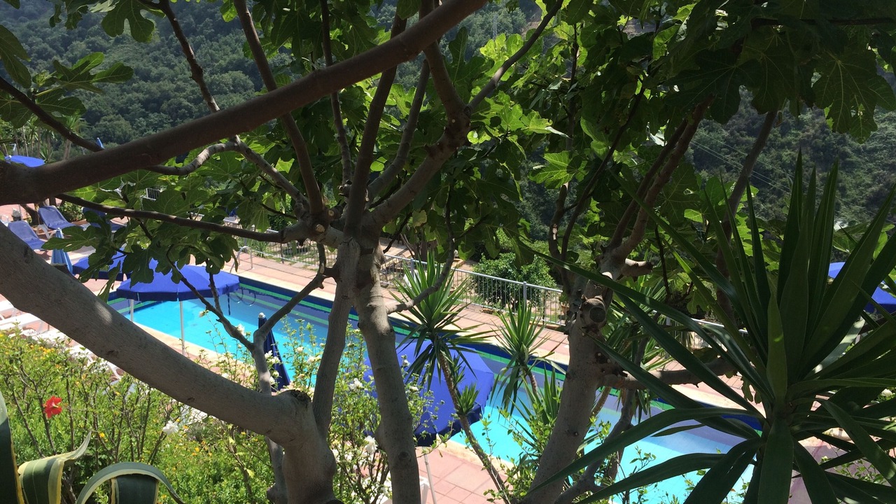 Photo of Outdoor in Drapia