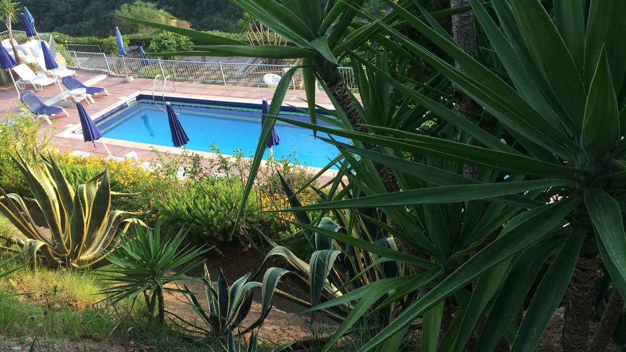 Photo of Outdoor in Drapia