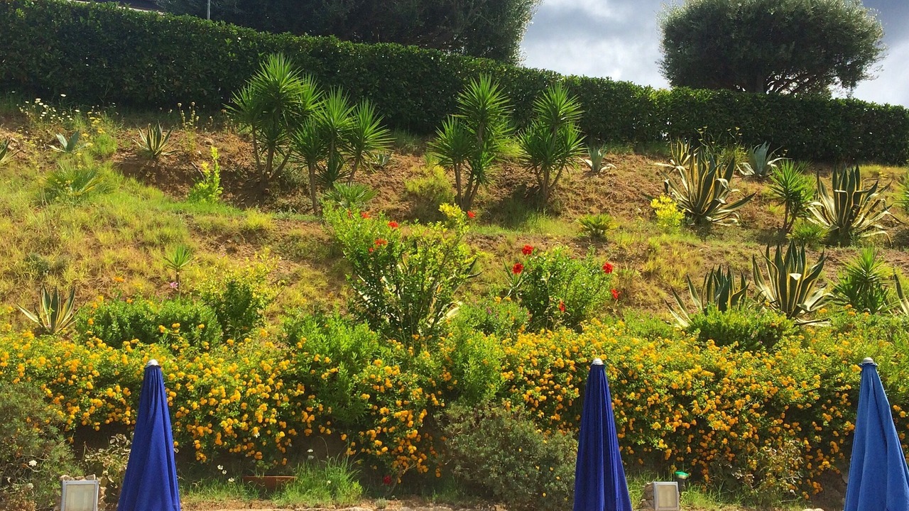 Photo of Outdoor in Drapia