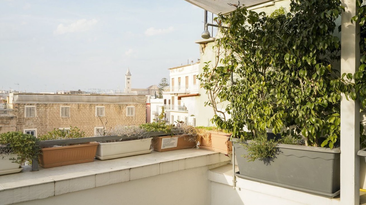 Photo of Outdoor in Trani