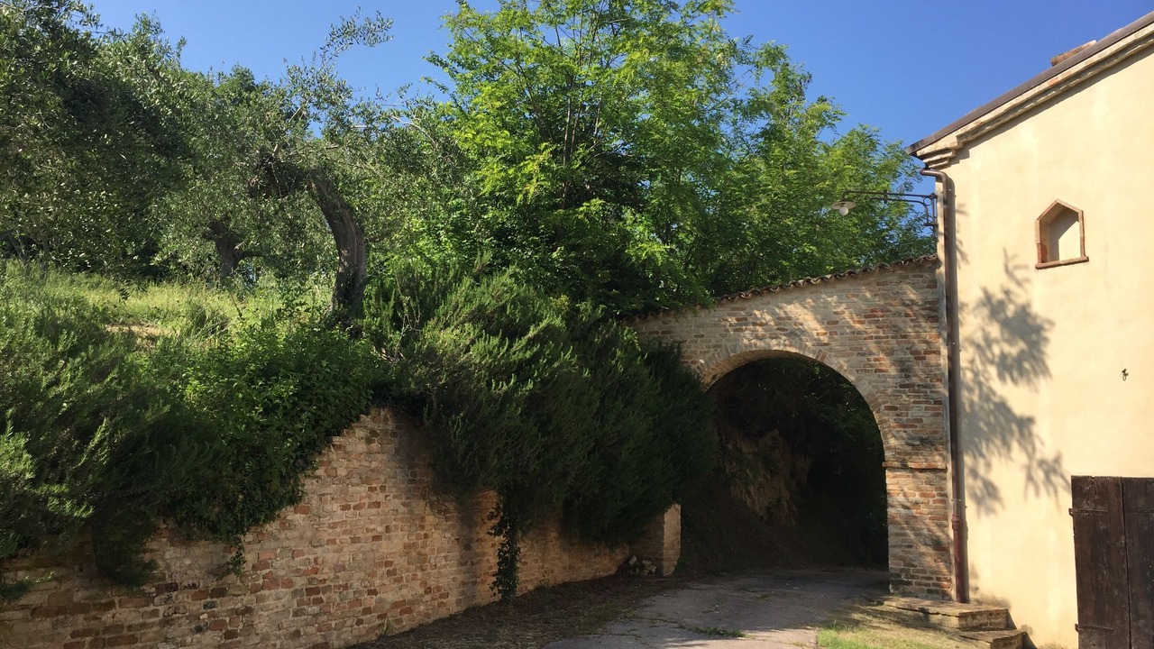Photo of Outdoor in Saludecio