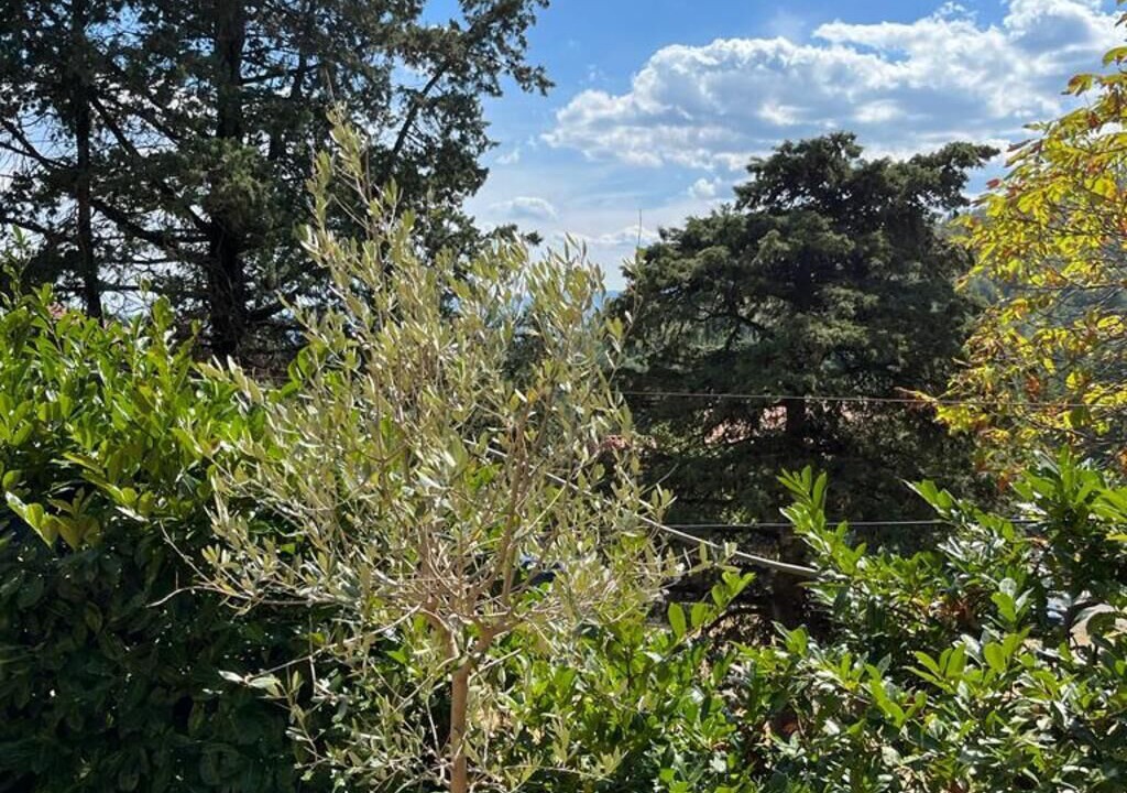Photo of Outdoor in Moggiona