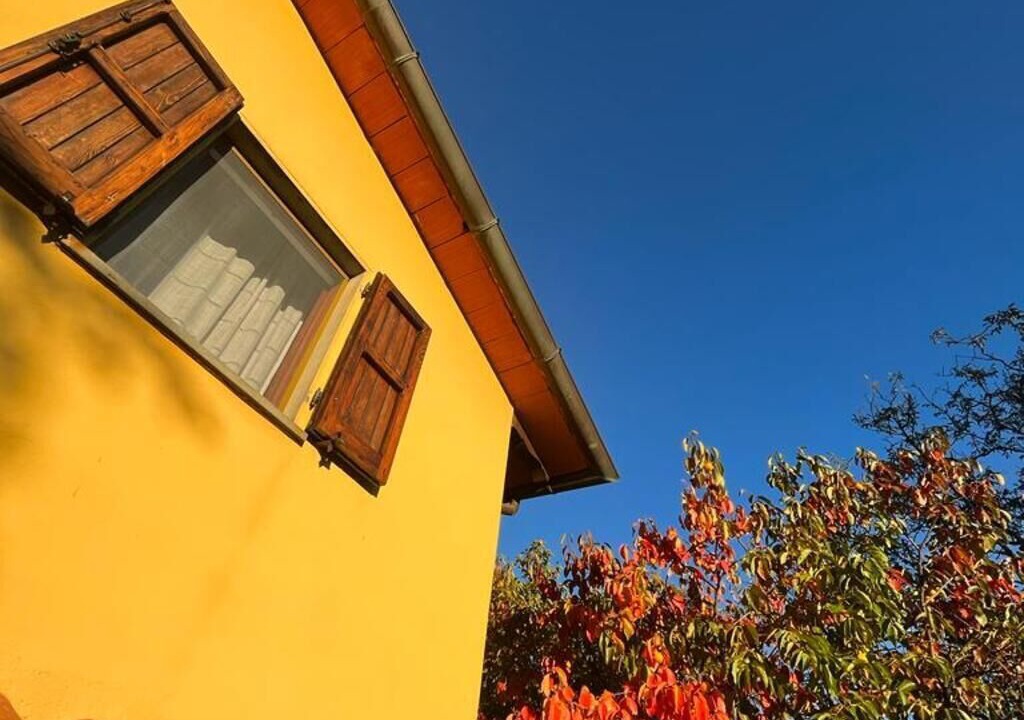 Photo of Outdoor in Moggiona