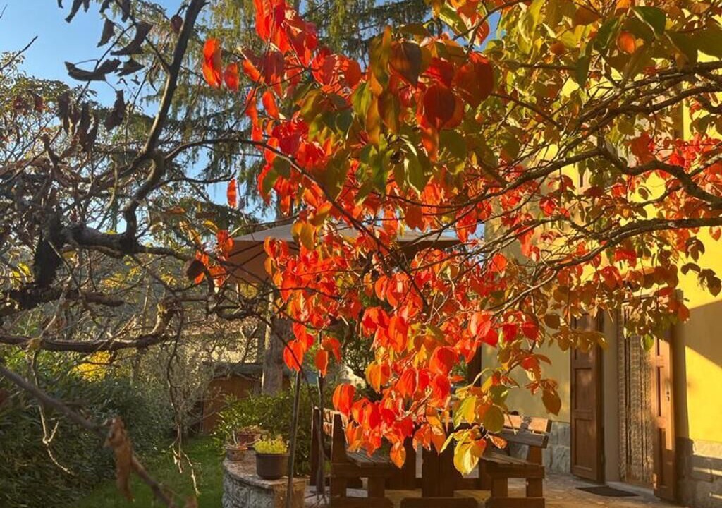 Photo of Outdoor in Moggiona