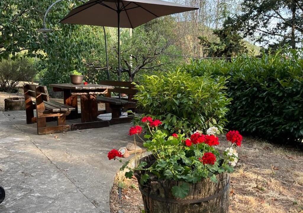 Photo of Outdoor in Moggiona