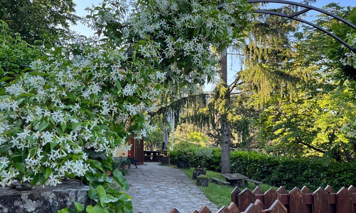Photo of Outdoor in Moggiona