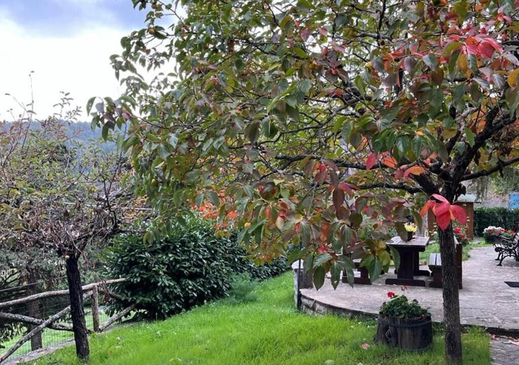 Photo of Patio Balcony in Moggiona