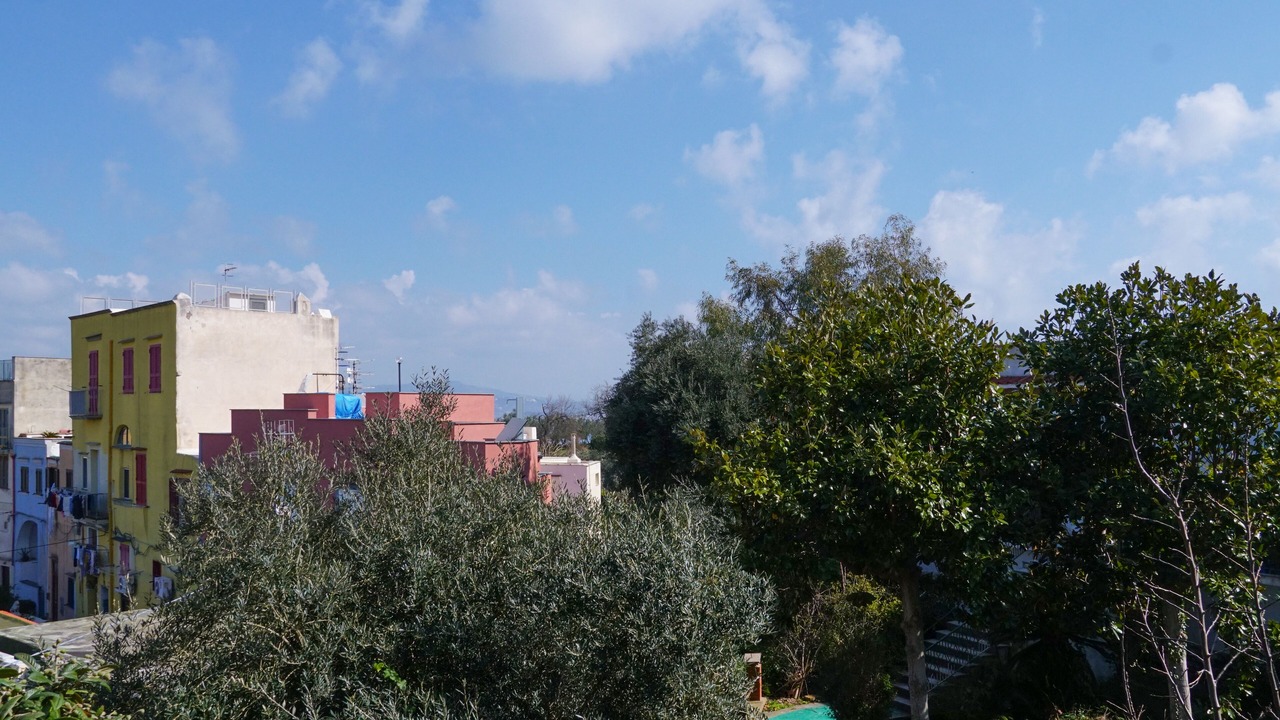 Photo of Others in Procida