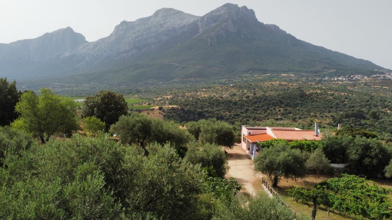 Photo of Others in Oliena