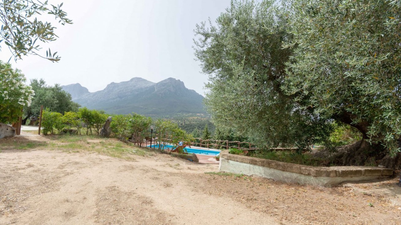 Photo of Outdoor in Oliena