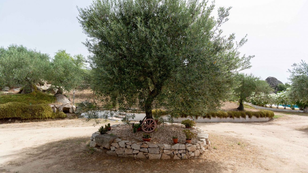 Photo of Outdoor in Oliena