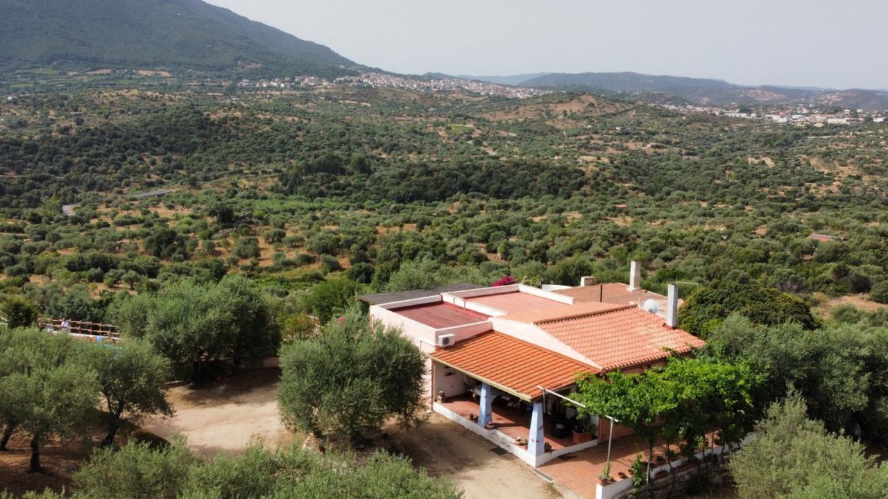 Photo of Outdoor in Oliena
