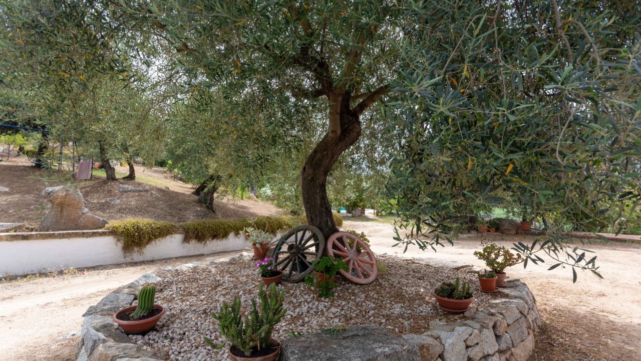 Photo of Outdoor in Oliena