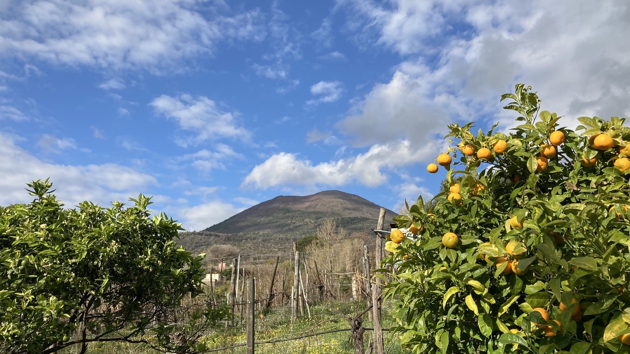 Photo of Outdoor in Trecase
