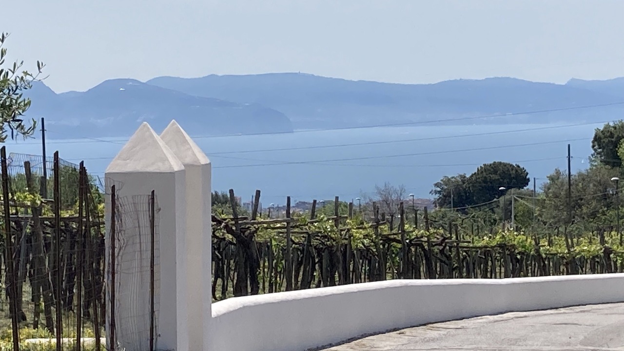 Photo of Outdoor in Trecase