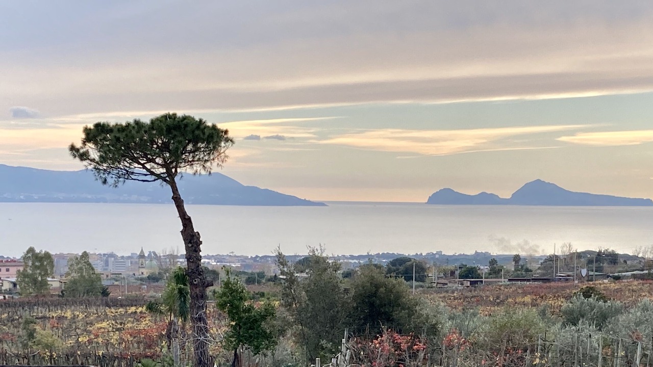 Photo of Outdoor in Trecase