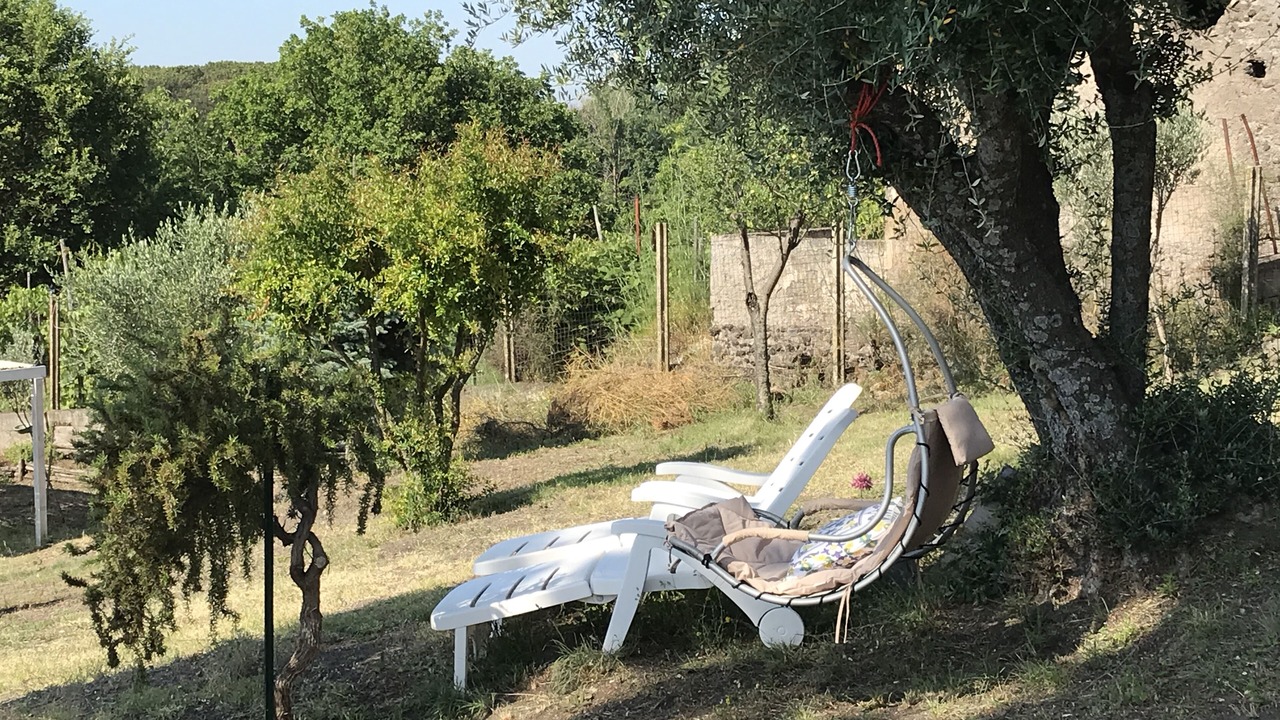 Photo of Outdoor in Trecase