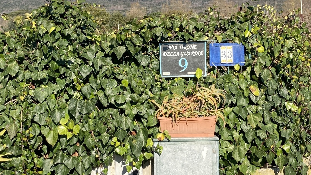 Photo of Outdoor in Trecase