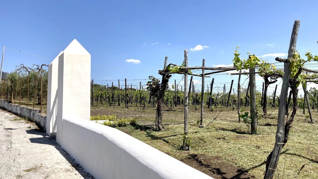 Photo of Outdoor in Trecase