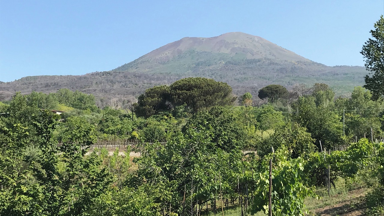 Photo of Outdoor in Trecase
