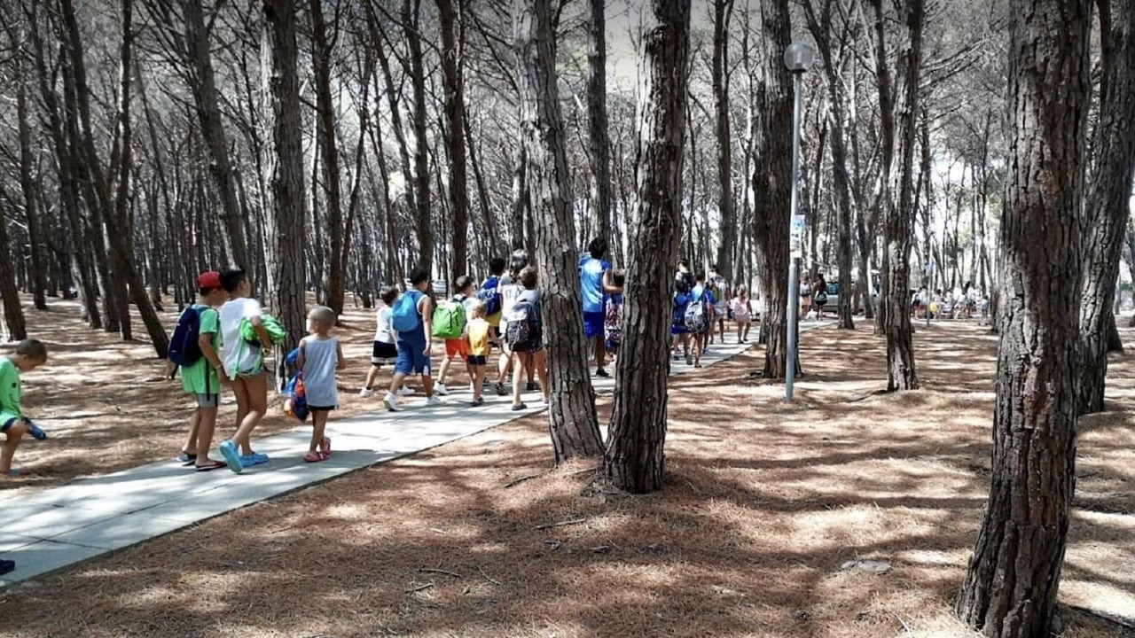 Photo of Outdoor in Pizzo