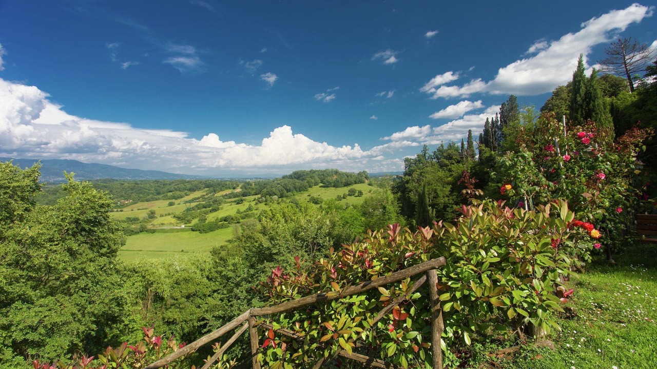 Photo of Outdoor in Gaville