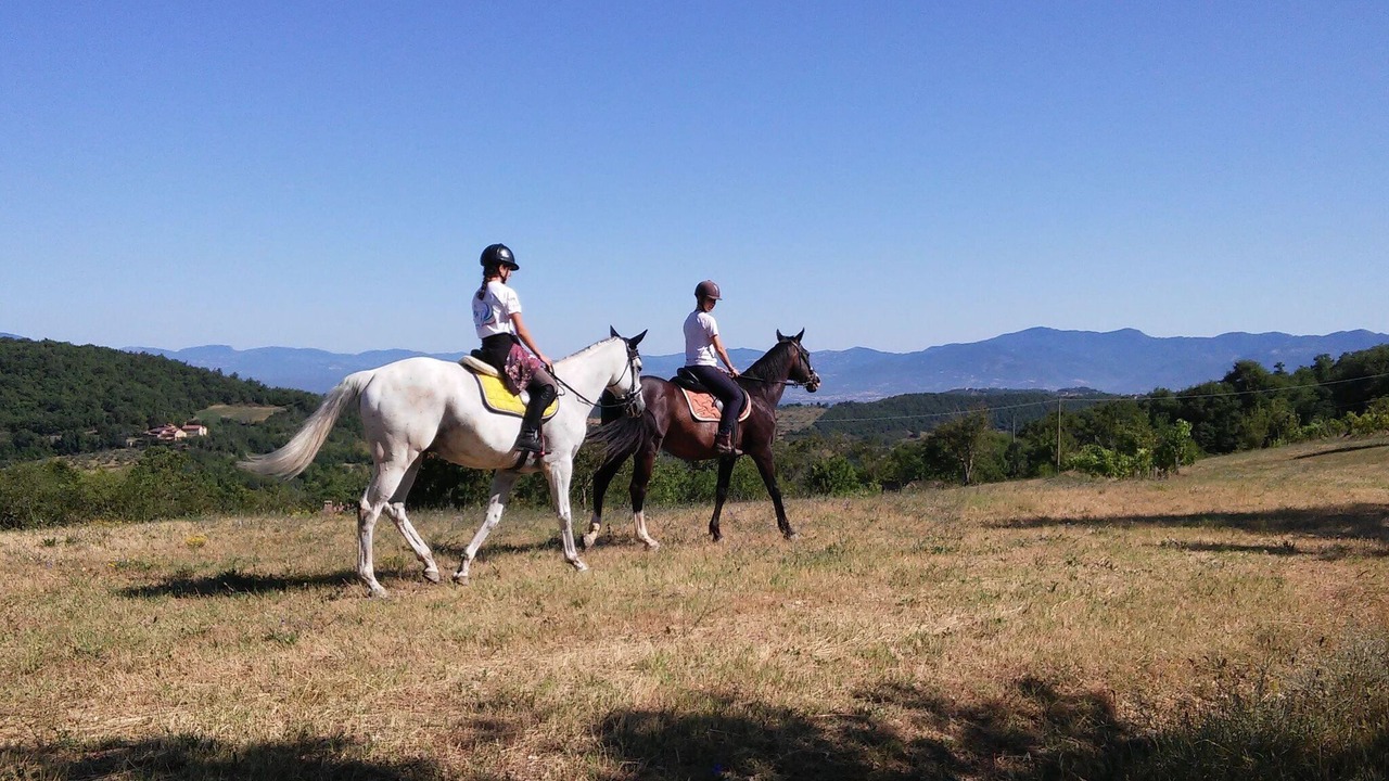Photo of Others in Monte Santa Maria Tiberina