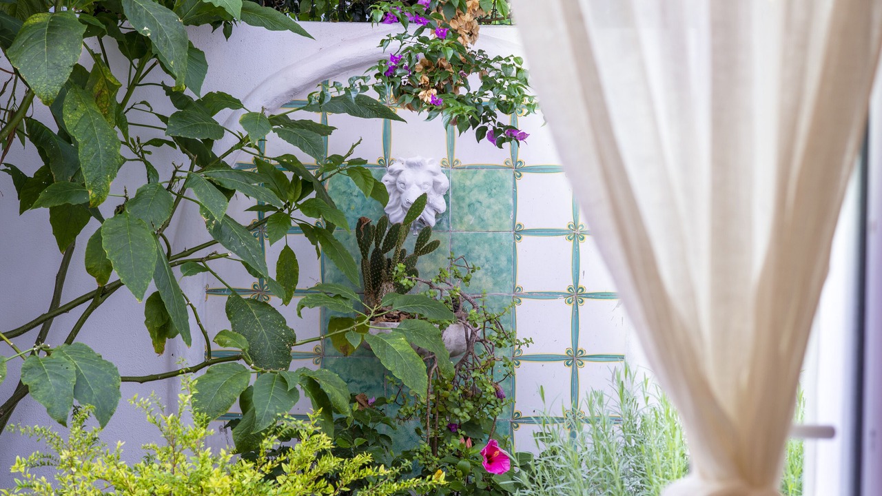 Photo of Outdoor in Ischia Porto