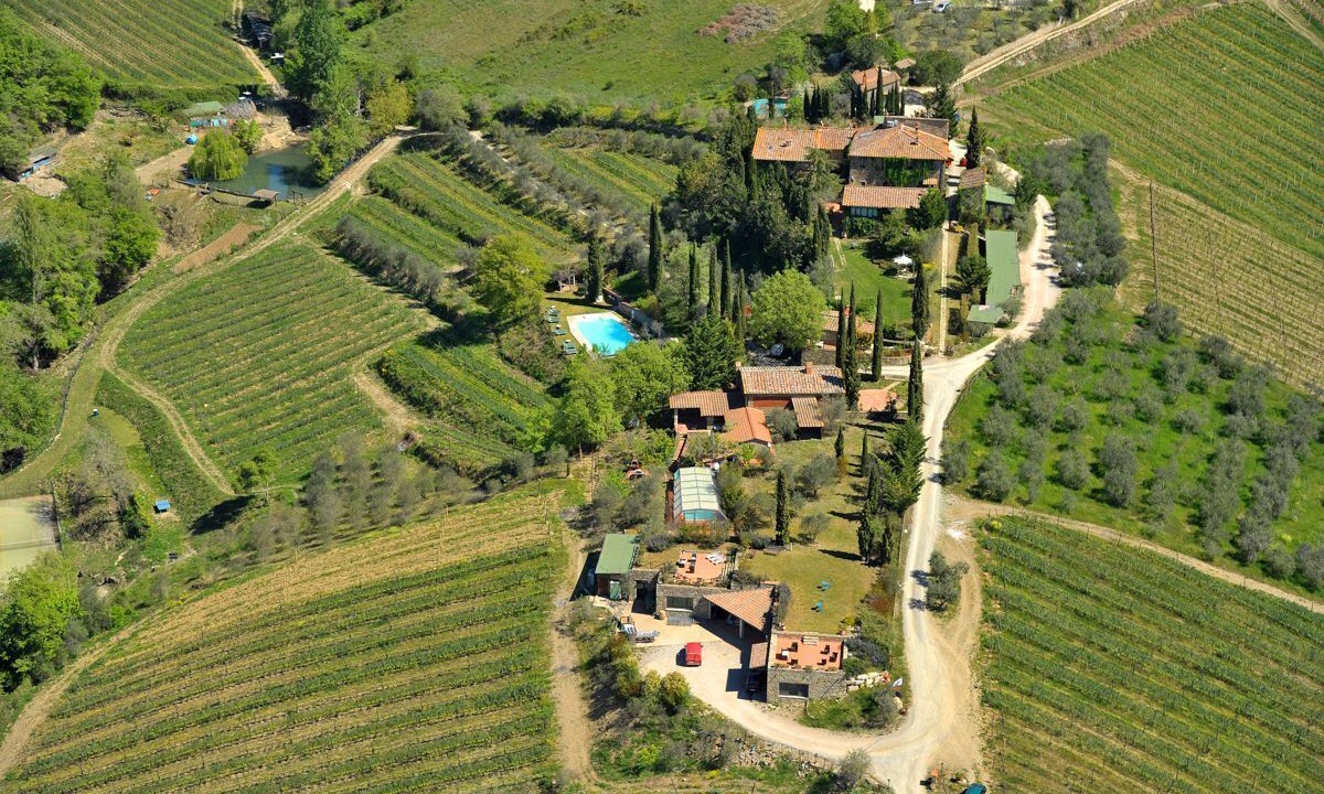 Photo of Others in Gaiole in Chianti