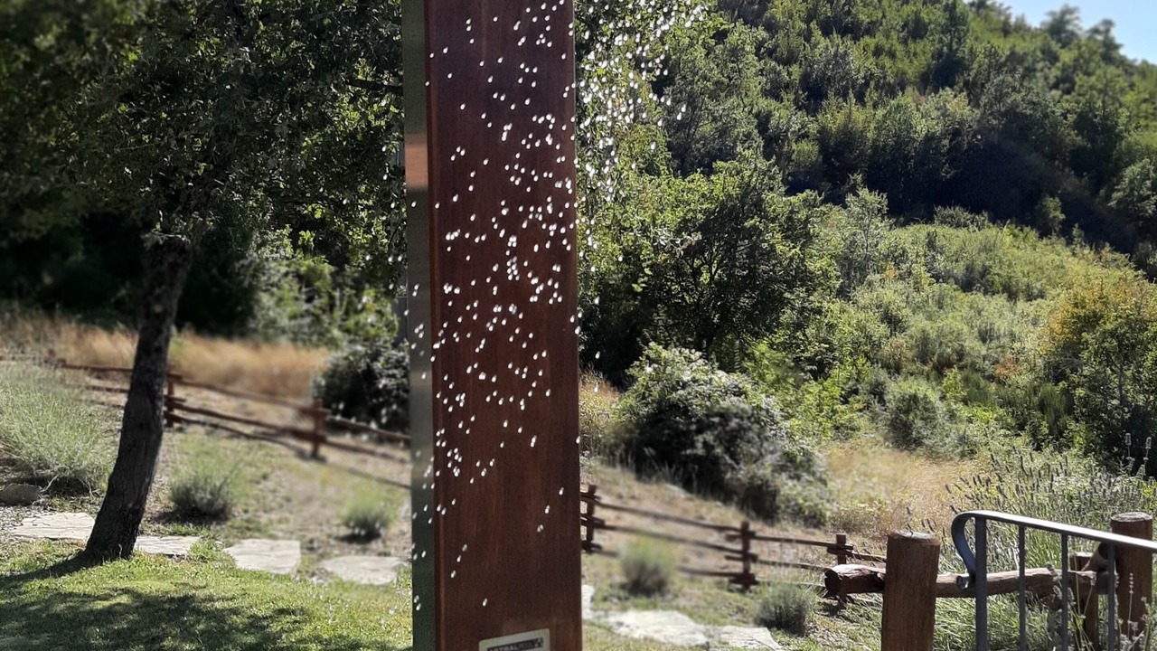 Photo of Outdoor in Talla