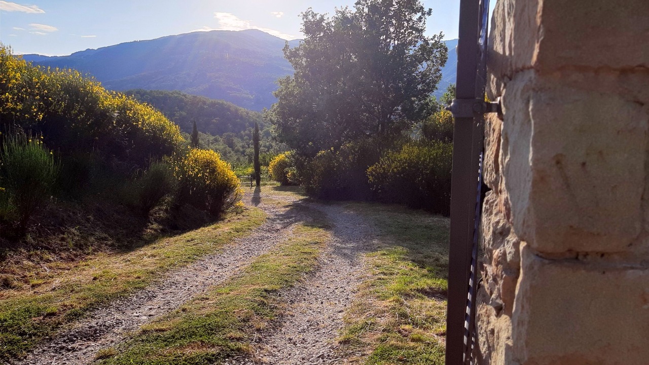 Photo of Outdoor in Talla