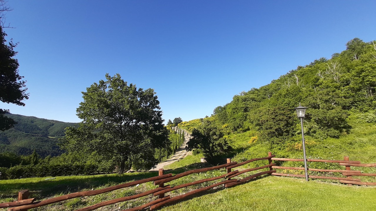 Photo of Others in Talla