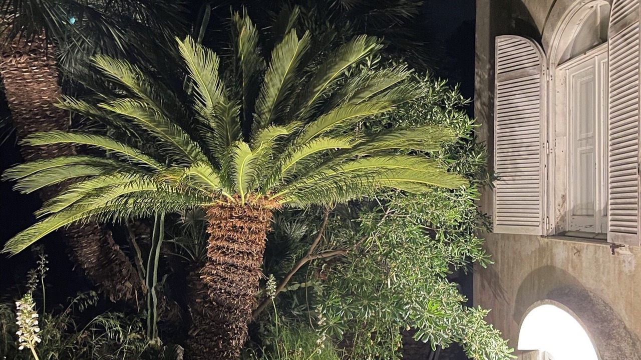 Photo of Outdoor in Licola