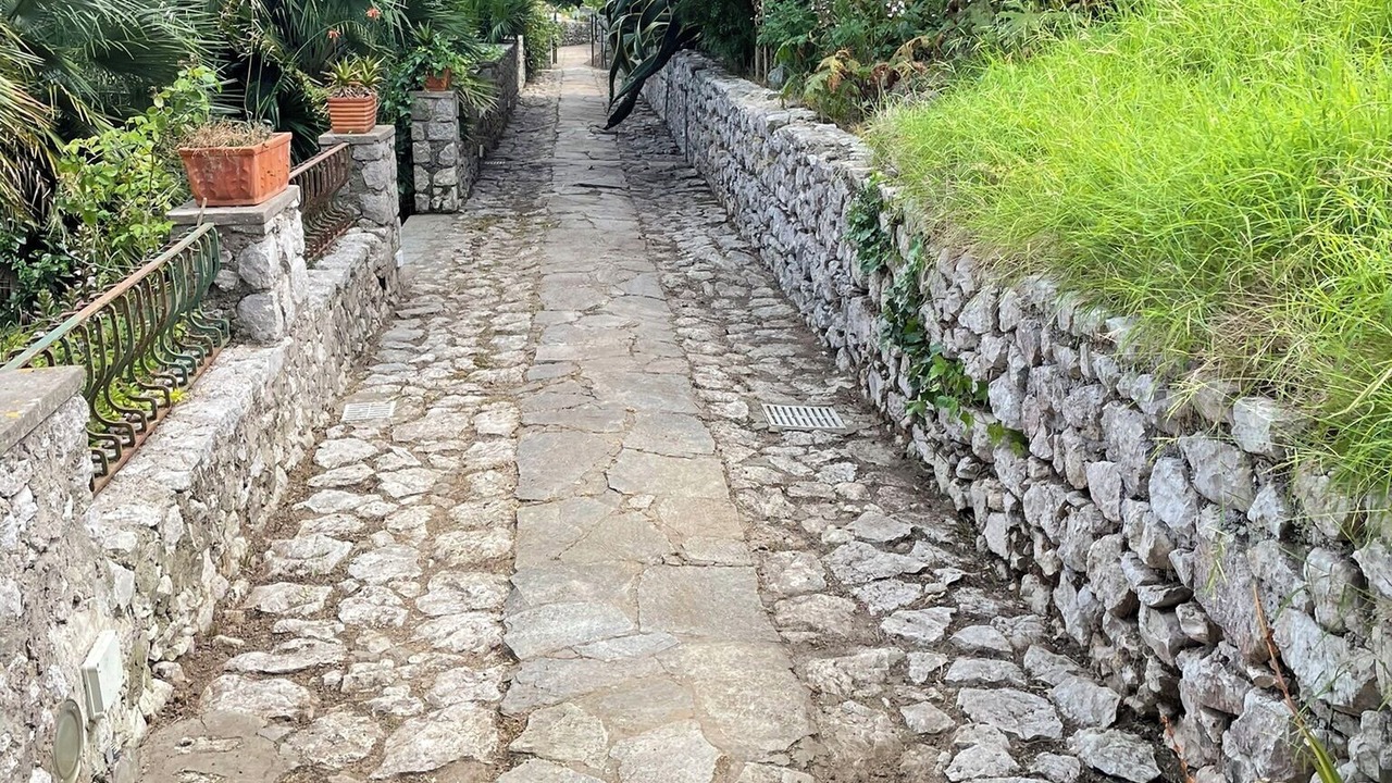 Photo of Outdoor in Licola