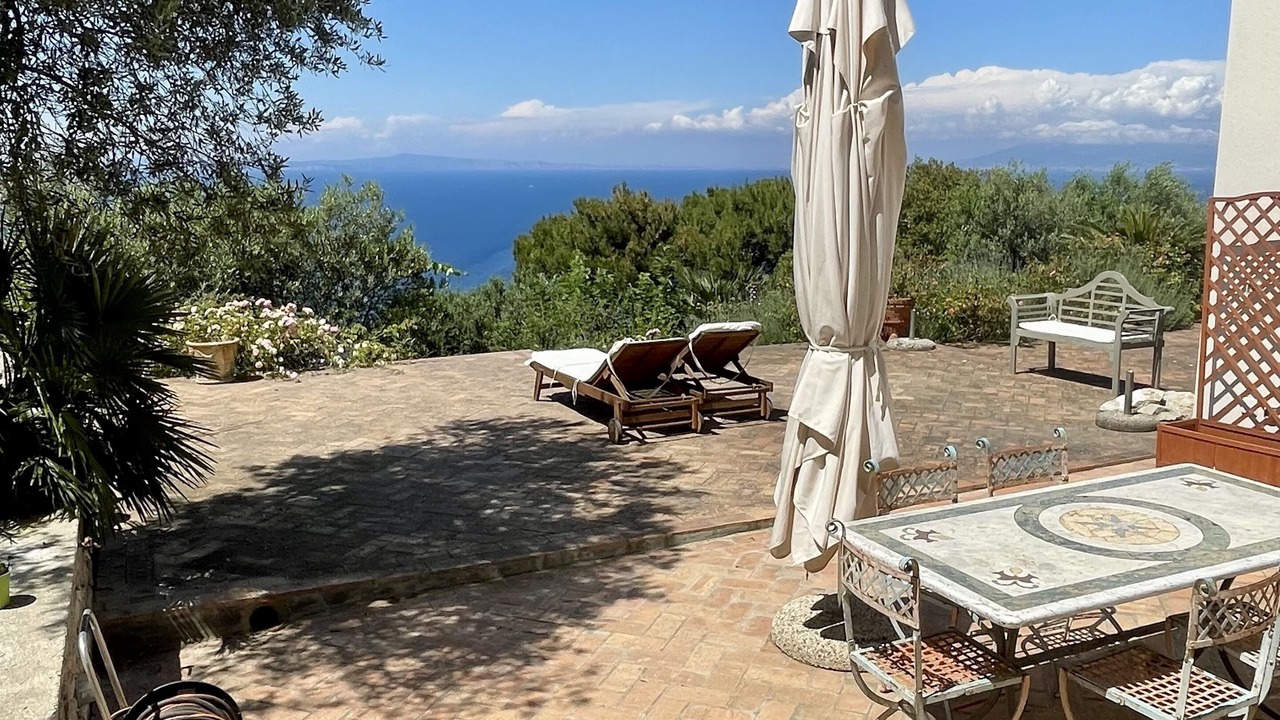 Photo of Outdoor in Licola
