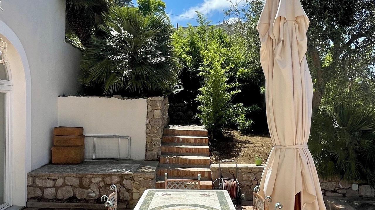 Photo of Outdoor in Licola