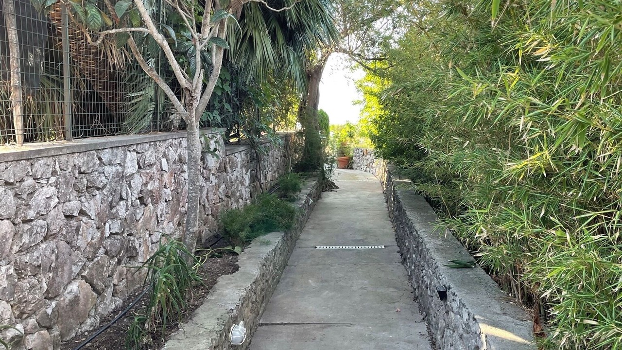 Photo of Outdoor in Licola