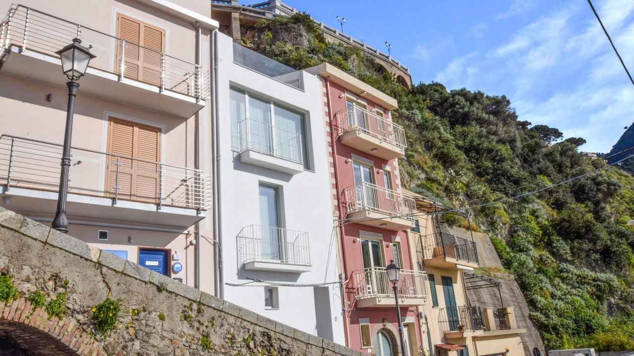 Photo of Others in Scilla