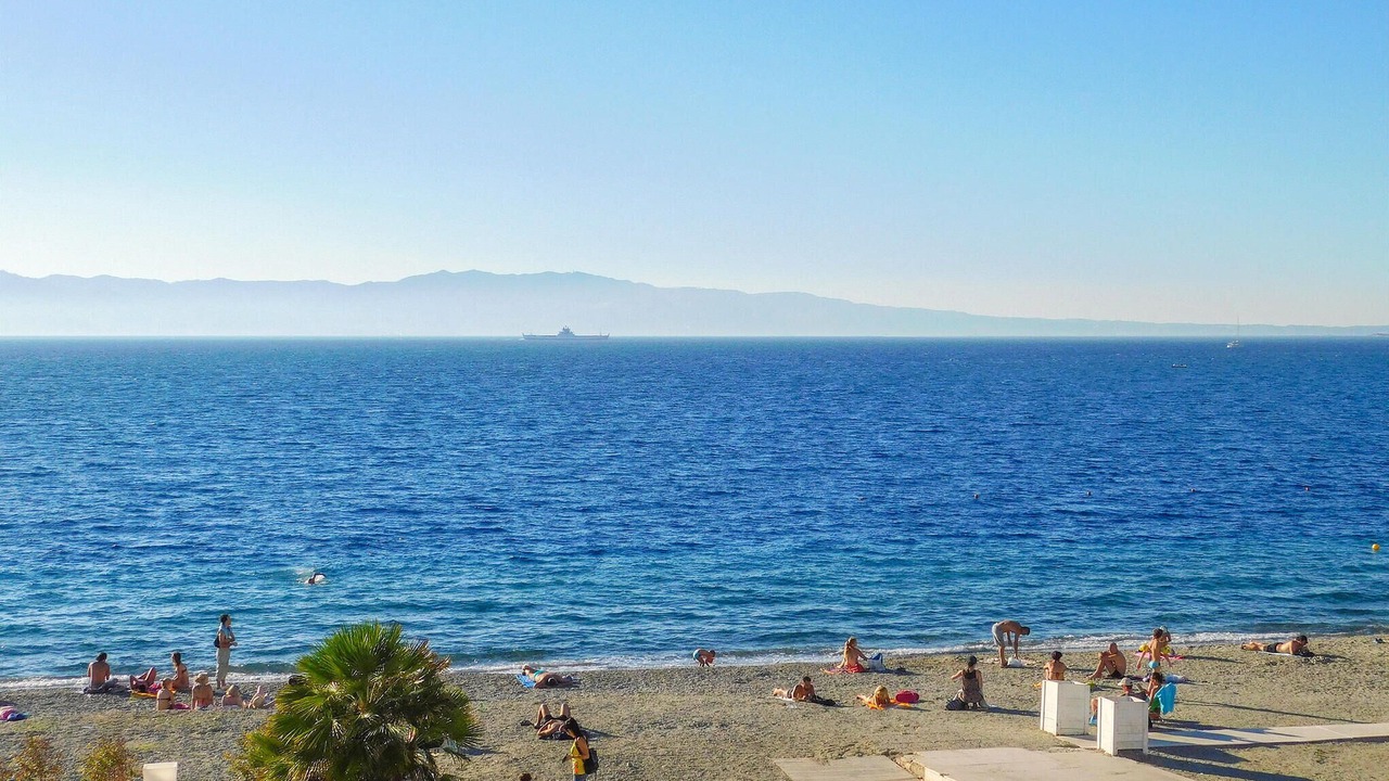 Photo of Others in Scilla