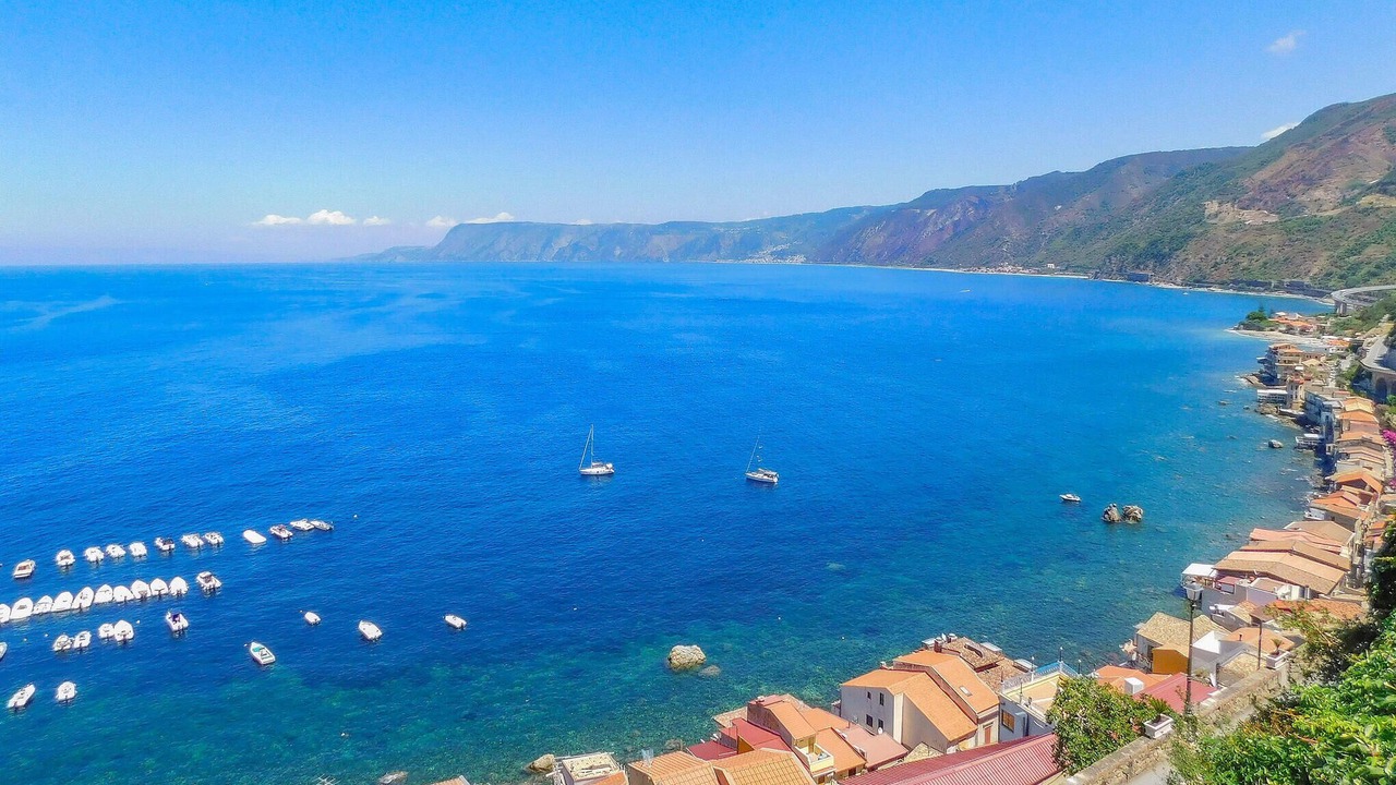 Photo of Others in Scilla