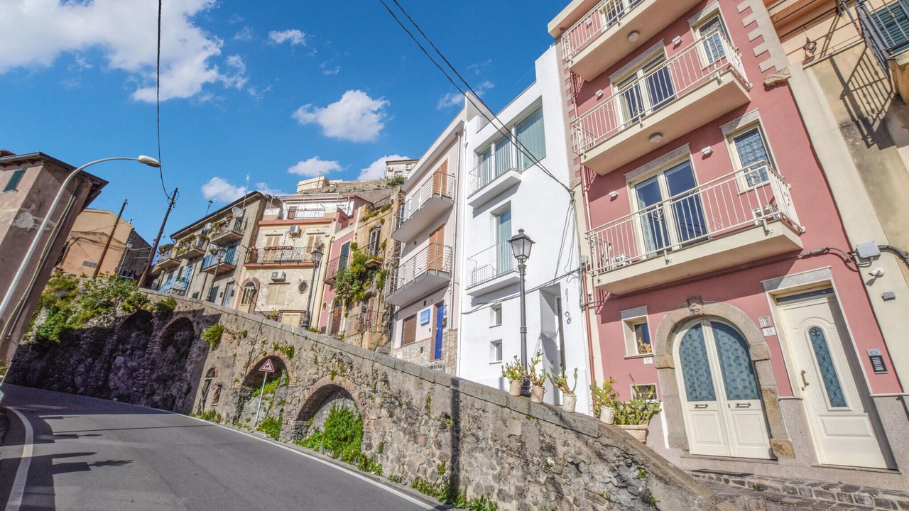 Photo of Others in Scilla